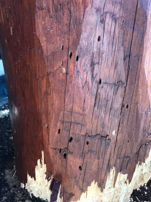 Cumberland Exterminating LLC Picture 10