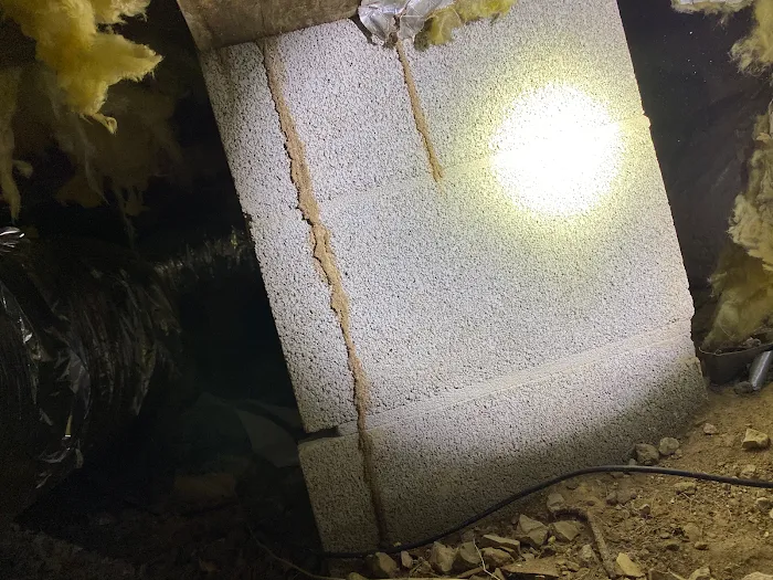 Campbell Pest Solutions LLC Picture 6