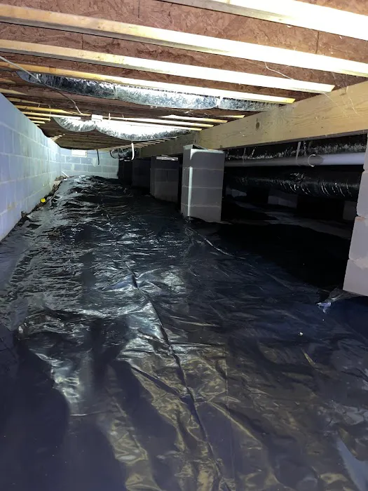 Campbell Pest Solutions LLC Picture 5