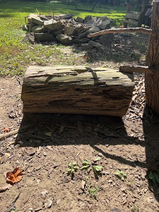 Midstate Termite & Pest Control Picture 4