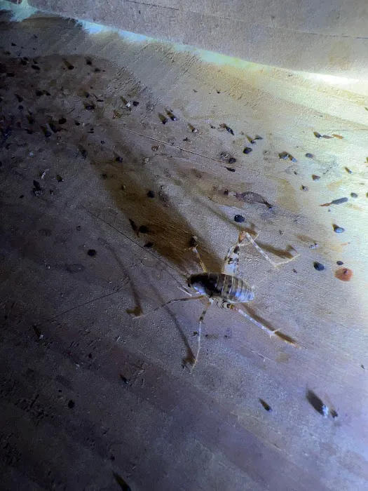 Midstate Termite & Pest Control Picture 10