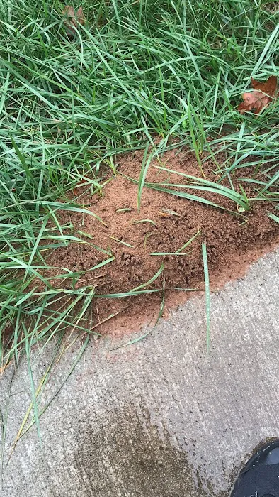 Midstate Termite & Pest Control Picture 7