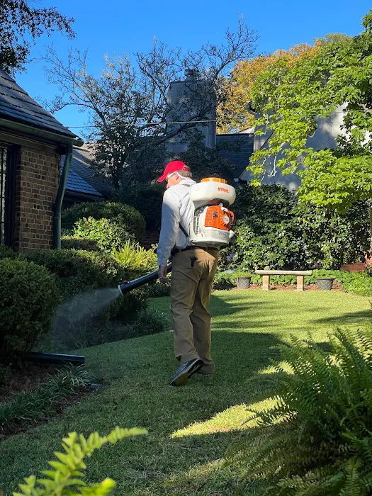 Mosquito Slayer Picture 3