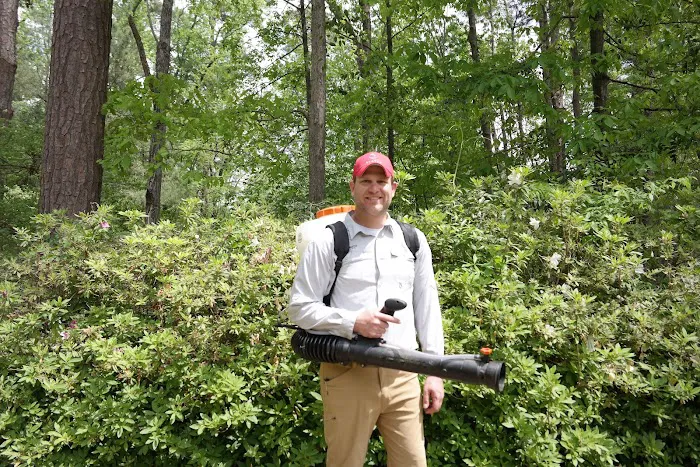 Mosquito Slayer Picture 1