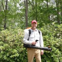 Mosquito Slayer ico