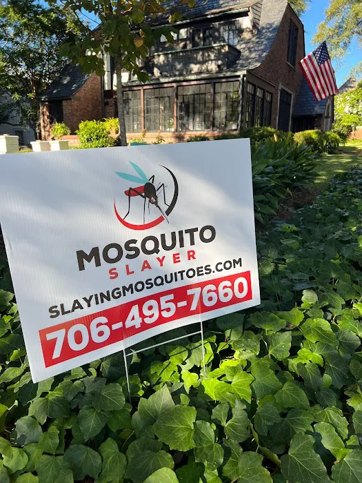 Mosquito Slayer Picture 5