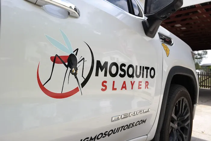 Mosquito Slayer Picture 2