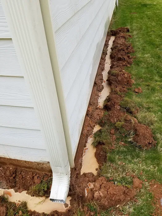 Truly Nolen Pest & Termite Control West Atlanta Picture 4