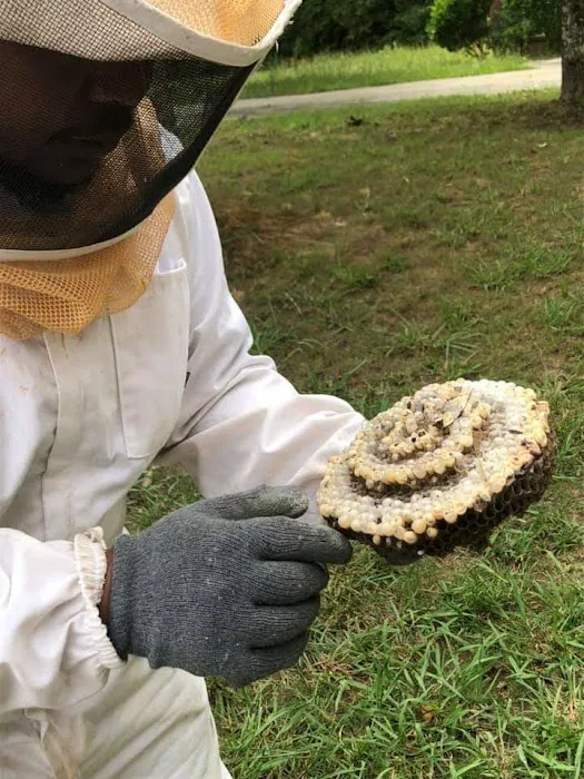 Truly Nolen Pest & Termite Control West Atlanta Picture 5