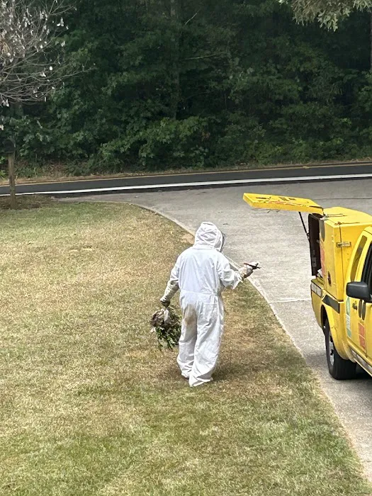 Truly Nolen Pest & Termite Control West Atlanta Picture 8