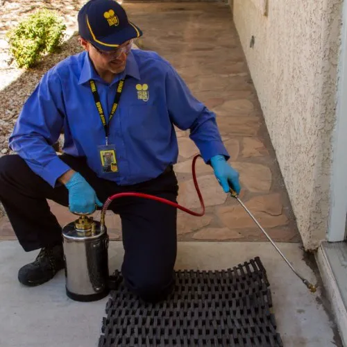 Truly Nolen Pest & Termite Control West Atlanta Picture 6