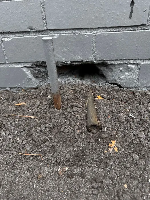 Atlanta Wildlife Solutions, LLC Picture 7