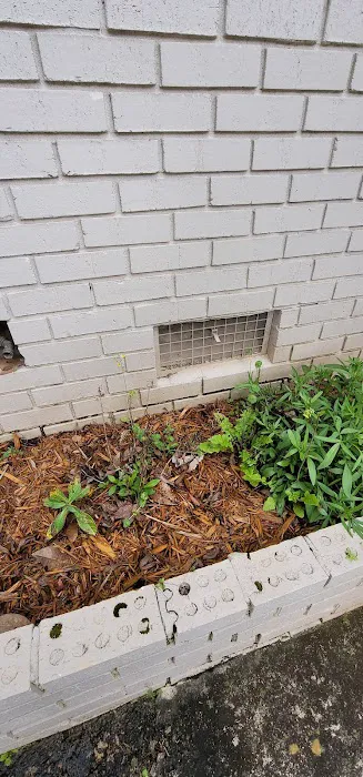 Atlanta Wildlife Solutions, LLC Picture 9