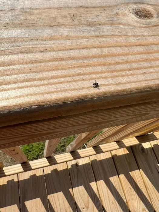 Urbanex Pest Control Picture 4