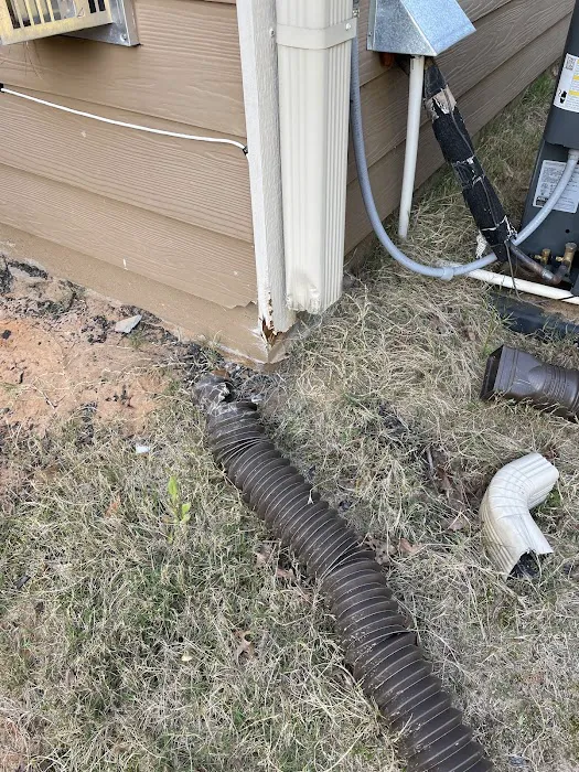 Rocket Pest Control Picture 7