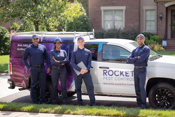 Rocket Pest Control Picture 3