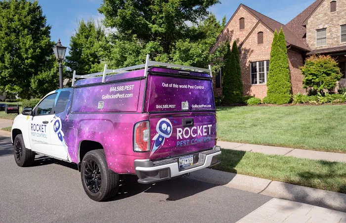 Rocket Pest Control Picture 1