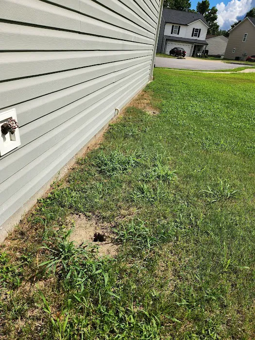 Rocket Pest Control Picture 6