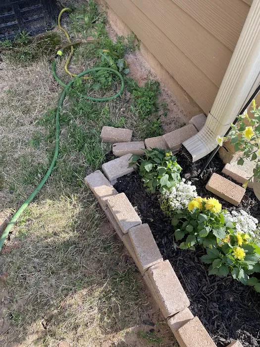 Rocket Pest Control Picture 10