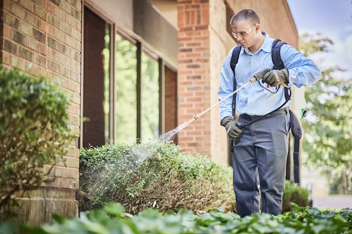 Anthem Pest Control Picture 7