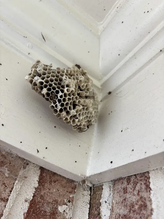 Smart Solutions Pest Control Picture 3