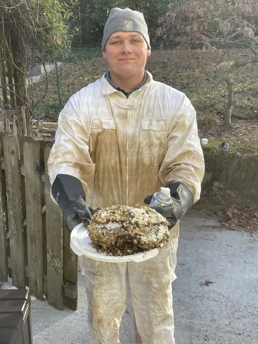 Northwest Exterminating - Smyrna Picture 4
