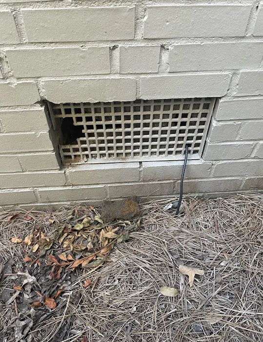 Rite Way Animal Removal Picture 3