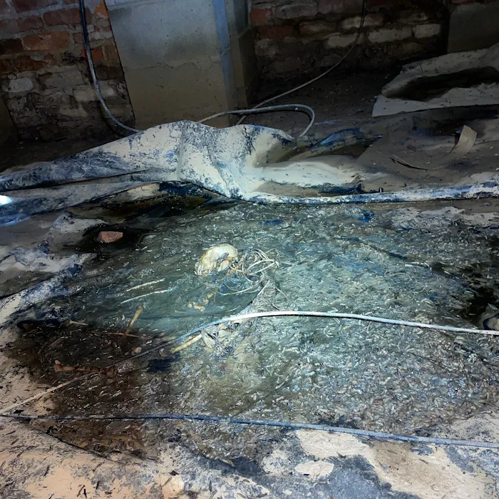 Rite Way Animal Removal Picture 10