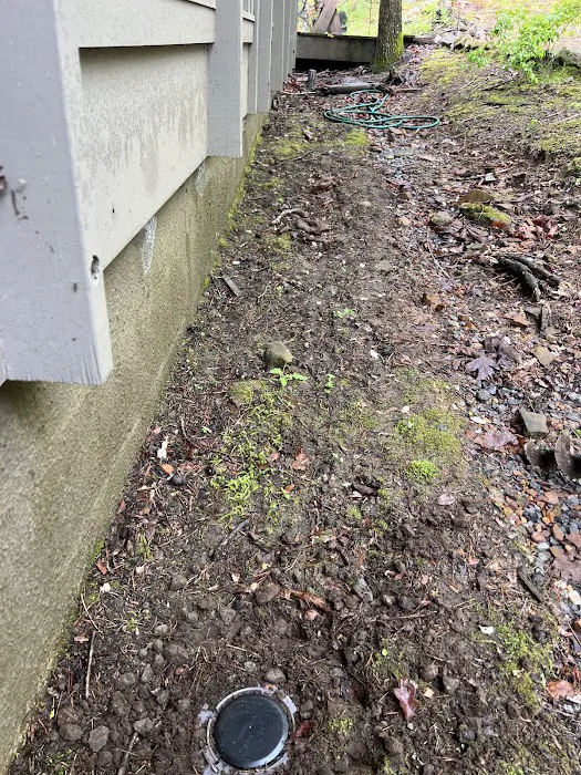 Revolutionary Pest Control LLC Picture 8