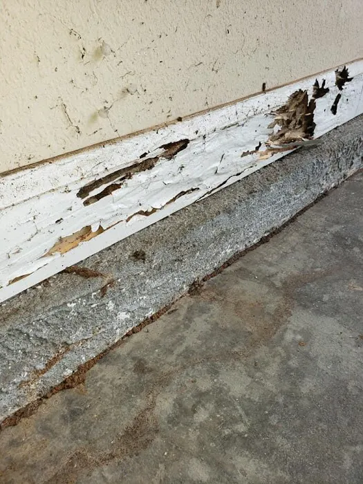 Revolutionary Pest Control LLC Picture 1