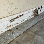 Revolutionary Pest Control LLC