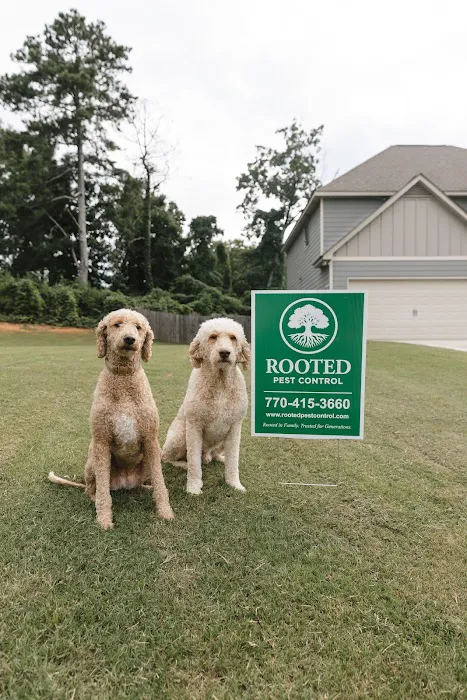 Rooted Pest Control Picture 4