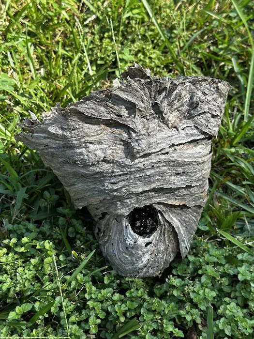 Rooted Pest Control Picture 7