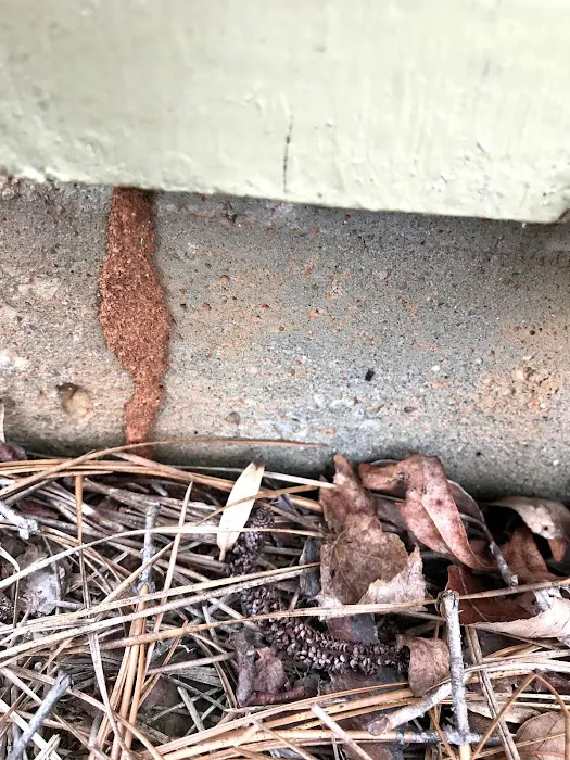 Peachtree Pest Control Picture 9