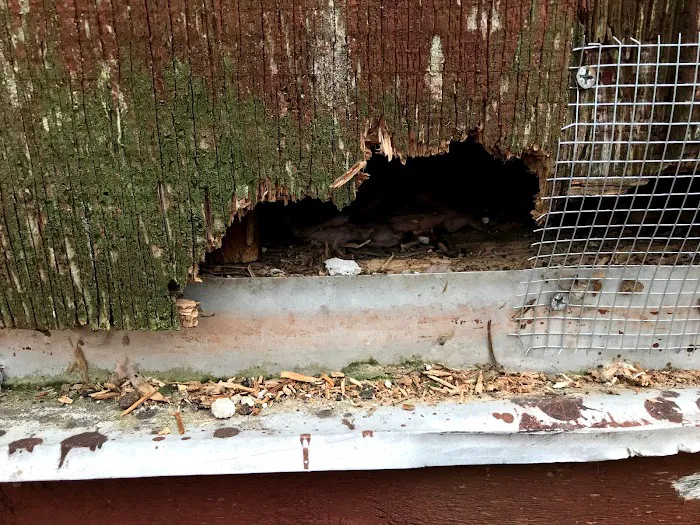 Peachtree Pest Control Picture 2