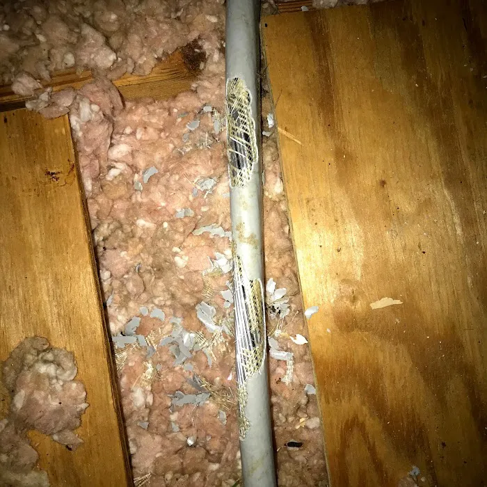 Peachtree Pest Control Picture 6