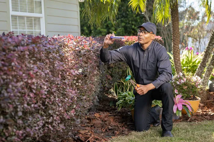 Active Pest Control Picture 10