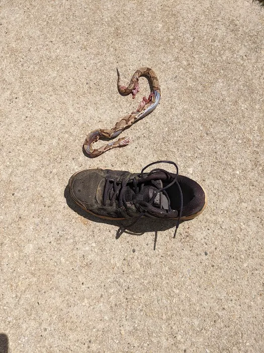 Mission Pest Management Picture 3