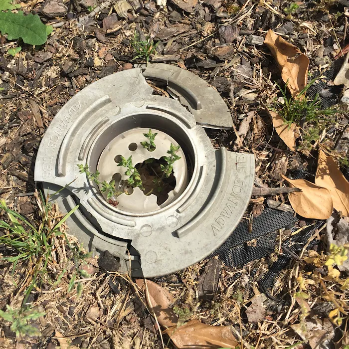 Mission Pest Management Picture 6