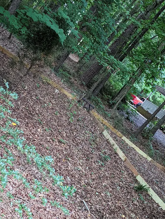 Mission Pest Management Picture 4