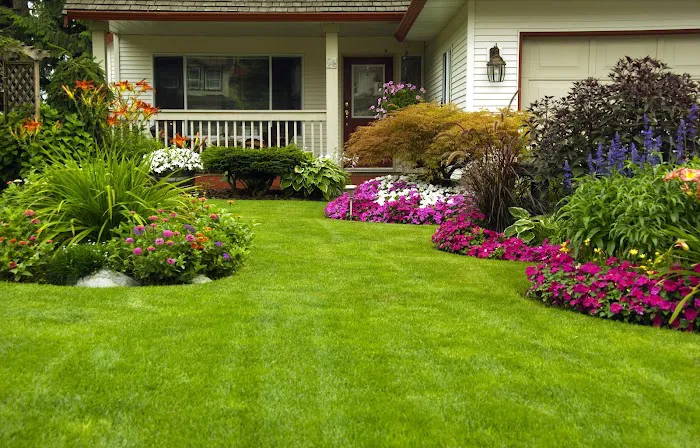 Griffin Termite & Pest Control Picture 8