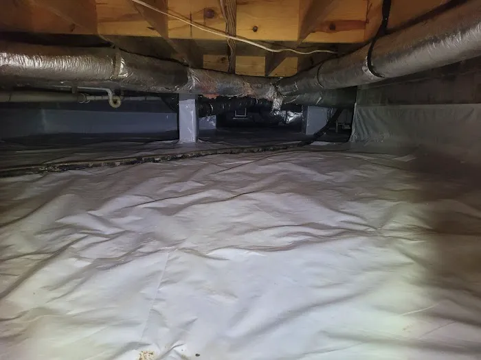Griffin Termite & Pest Control Picture 2