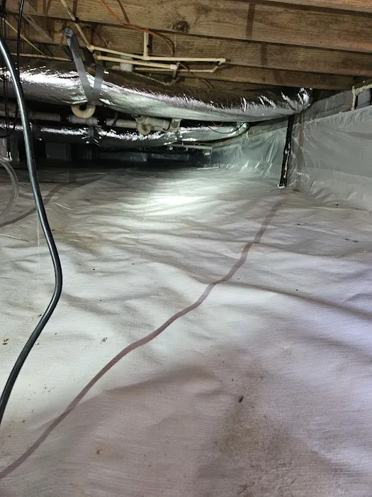 Griffin Termite & Pest Control Picture 1