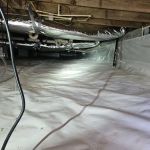 Griffin Termite & Pest Control