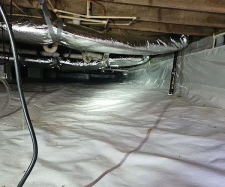 Griffin Termite & Pest Control