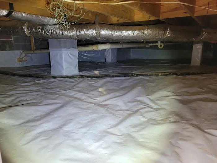 Griffin Termite & Pest Control Picture 6