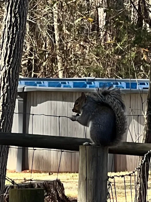 Critter Control of Macon Picture 3