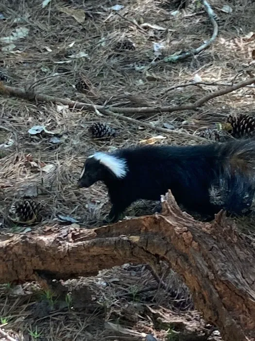 Critter Control of Macon Picture 4