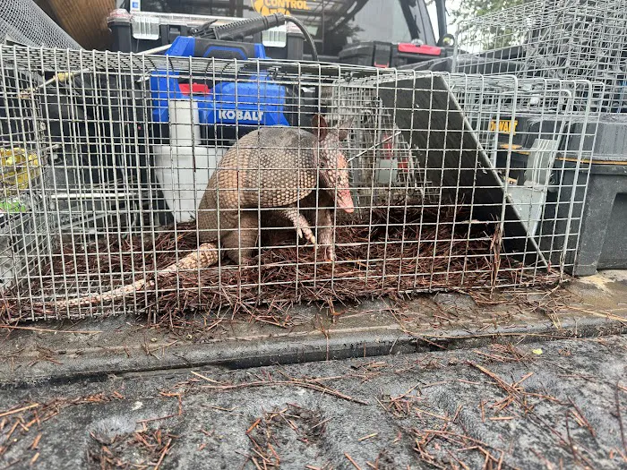 Critter Control of Macon Picture 10
