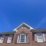 EcoShield Pest Solutions